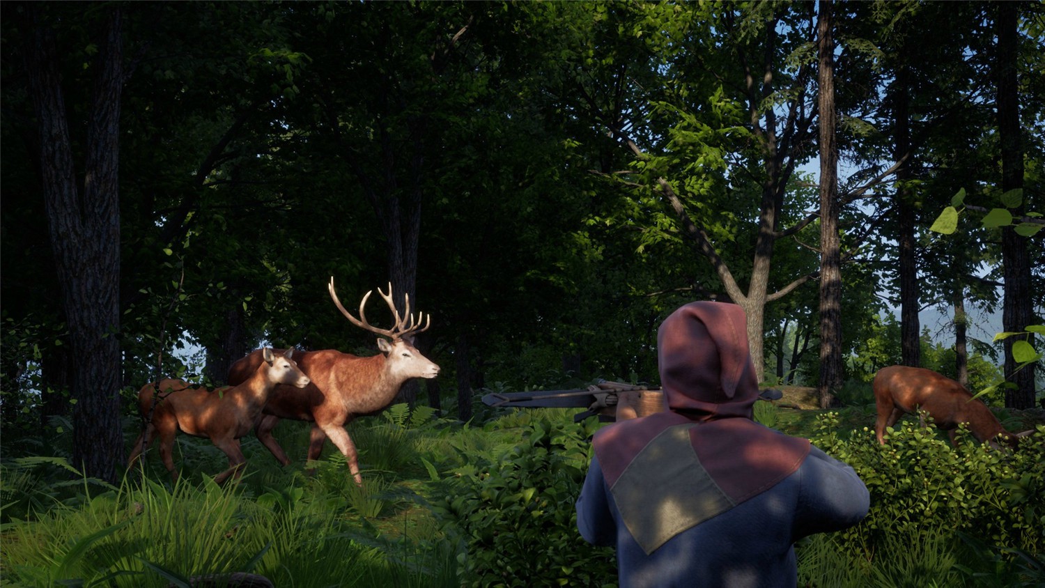 http:https://www.weimei77.com/wp-content/uploads/2023/12/http:https://www.weimei77.cn/wp-content/uploads/2024/07/https://kj.6cco.xyz
/wp-content/uploads/2026/01/20260112001623645-20260111161623-6963ccd73d0b7.jpg 2.jpg