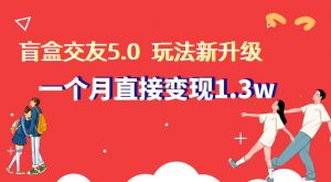 盲盒交友5.0，玩法全新升级，一个月直接变现1.3W，新手小白轻松上手【揭秘】-KJ分享