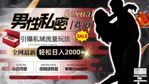 全网最新男性私密赛道玩法，引爆私域流量，轻松日入2000+-KJ分享