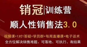 爆款！销冠训练营3.0之顺人性销售法，全方位解决销售难题、可落地、可执行、有结果-KJ分享