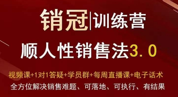 爆款！销冠训练营3.0之顺人性销售法，全方位解决销售难题、可落地、可执行、有结果-KJ分享