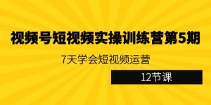 视频号短视频实操训练营第5期：7天学会短视频运营（12节课）-KJ分享