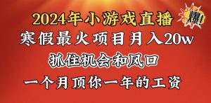 2024年寒假爆火项目，小游戏直播月入20w+，学会了之后你将翻身-KJ分享
