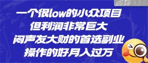 [抖音快手]一个很low的小众项目，但利润非常巨大，闷声发大财的首选副业，操作的好月入过万-KJ分享