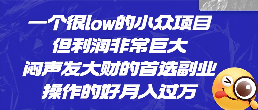 [抖音快手]一个很low的小众项目，但利润非常巨大，闷声发大财的首选副业，操作的好月入过万-KJ分享