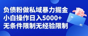 负债粉私域暴力掘金，小白操作入5000，无经验限制，无条件限制-KJ分享