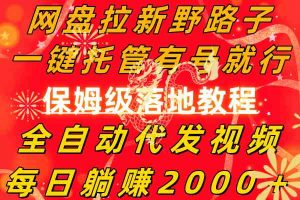 网盘拉新野路子，一键托管有号就行，全自动代发视频，每日躺赚2000＋-KJ分享