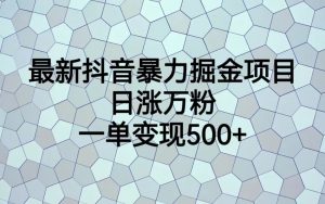 最新抖音暴力掘金项目，日涨万粉，一单变现500+-KJ分享