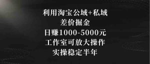 利用淘宝公域+私域差价掘金，日赚1000-5000元，工作室可放大操作，实操…-KJ分享