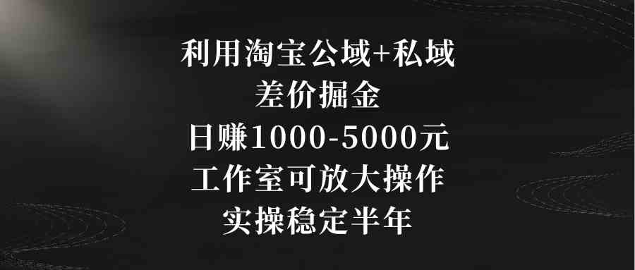 利用淘宝公域+私域差价掘金，日赚1000-5000元，工作室可放大操作，实操…-KJ分享