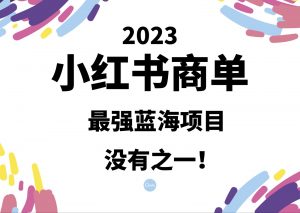 小红书商单，2023最强蓝海项目，没有之一！-KJ分享
