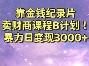 靠金钱纪录片卖财商课程B计划!暴力日变现3000+,喂饭式干货教程!-KJ分享