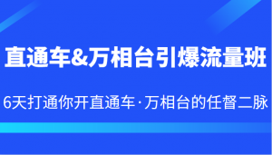 直通车&万相台引爆流量班 6天打通你开直通车·万相台的任督二脉-KJ分享