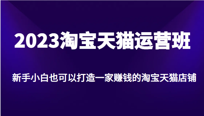 2023淘宝天猫运营班，新手小白也可以打造一家赚钱的淘宝天猫店铺-KJ分享