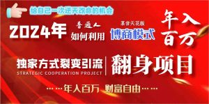 2024年普通人如何利用博商模式做翻身项目年入百万，财富自由-KJ分享