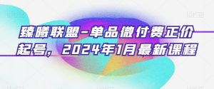 臻曦联盟-单品微付费正价起号,2024年1月最新课程-KJ分享