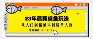 2023最新闲鱼实战课,从入门到精通再到闲鱼大佬,单号日入300+(更新)-KJ分享