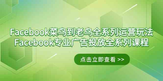 Facebook-菜鸟到老鸟全系列运营玩法+Facebook-专业广告投放全系列课程-KJ分享