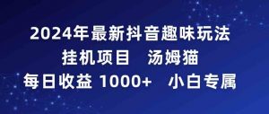 2024年最新抖音趣味玩法挂机项目 汤姆猫每日收益1000多小白专属-KJ分享