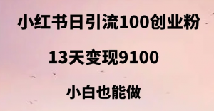 小红书日引流100+创业粉，13天变现9100，创业首选引流平台-KJ分享