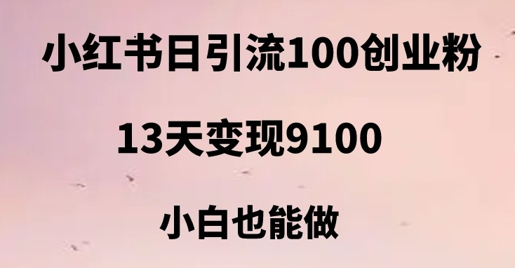 小红书日引流100+创业粉，13天变现9100，创业首选引流平台-KJ分享