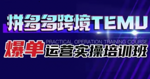 拼多多跨境TEMU爆单运营实操培训班 海外拼多多的选品、运营、爆单-KJ分享