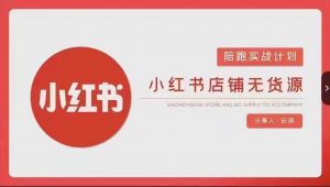 安琪-小红书店铺无货源实战,开店到售后全流程操作-KJ分享