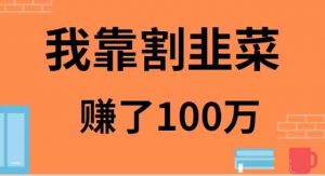 111我靠割韭菜赚了 100 万-KJ分享
