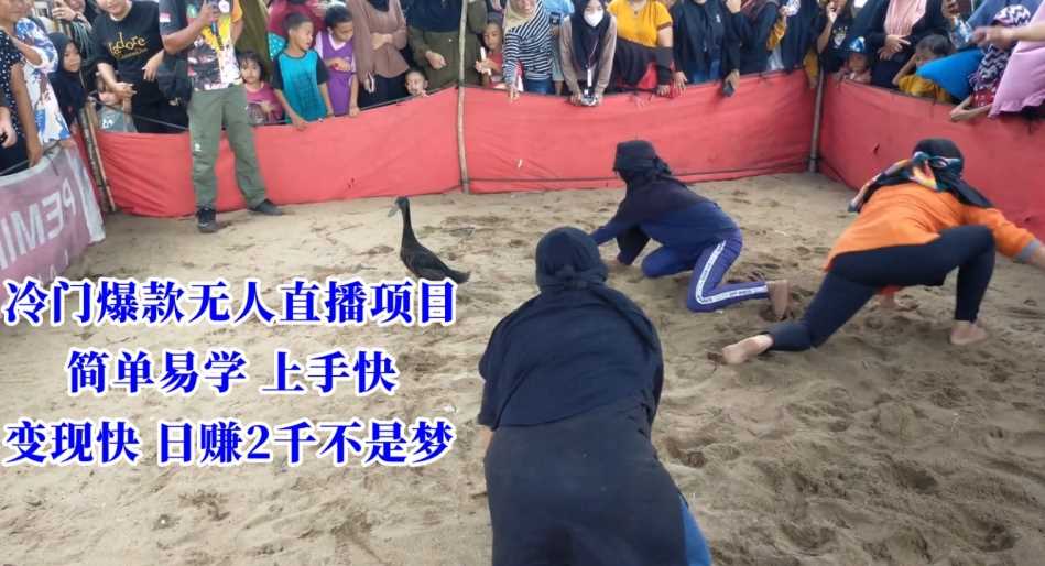 冷门爆款无人直播项目，简单易学上手快，变现快日赚2千不是梦【揭秘】-KJ分享