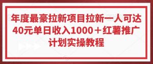 年度最豪拉新项目拉新一人可达40元单日收入1000＋红薯推广计划实操教程【揭秘】-KJ分享