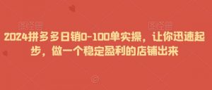 2024拼多多日销0-100单实操，让你迅速起步，做一个稳定盈利的店铺出来-KJ分享