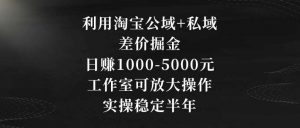 利用淘宝公域+私域差价掘金，日赚1000-5000元，工作室可放大操作，实操稳定半年【揭秘】-KJ分享