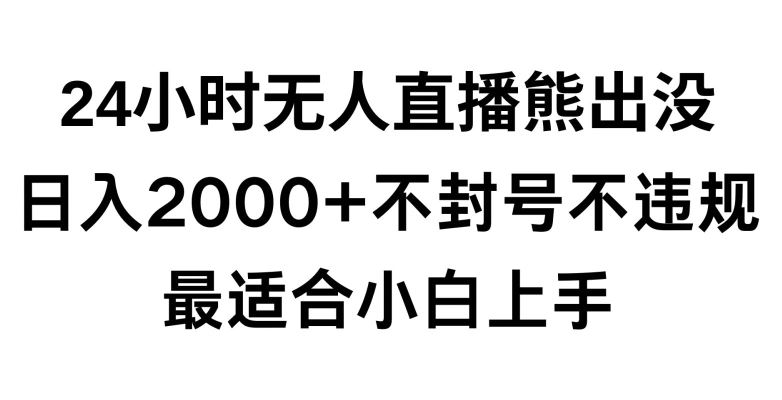 快手24小时无人直播熊出没，不封直播间，不违规，日入2000+，最适合小白上手，保姆式教学【揭秘】-KJ分享