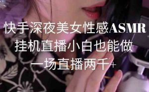 快手深夜美女性感ASMR挂机直播,小白也能做,一场直播两千+-KJ分享