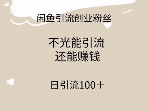 闲鱼精准引流创业粉丝，日引流100＋，引流过程还能赚钱-KJ分享
