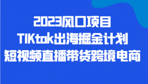 2023风口项目TIKtok出海掘金计划短视频直播带货跨境电商-KJ分享