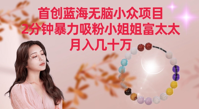 首创蓝海无脑小众项目，2分钟暴力吸粉小姐姐富太太，月入几十万-KJ分享