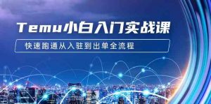 Temu小白入门实战课：跨境拼多多电商培训 快速跑通从入驻到出单全流程-12节-KJ分享