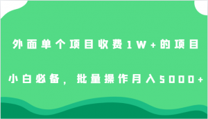 外面单个项目收费1W+的项目，小白必备，批量操作月入5000+-KJ分享