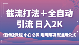 截流打法+全自动引流 日入2K 保姆级教程 小白必做 附网赚项目通用公式-KJ分享