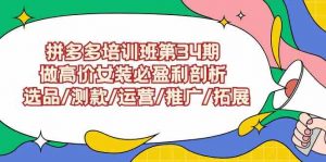 拼多多培训班第34期：做高价女装必盈利剖析  选品/测款/运营/推广/拓展-KJ分享