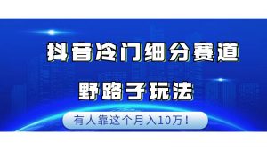 抖音冷门细分赛道野路子玩法，有人靠这个月入10万-KJ分享