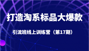 打造淘系标品大爆款引流班线上训练营（第17期）5天直播授课+1个月答疑-KJ分享