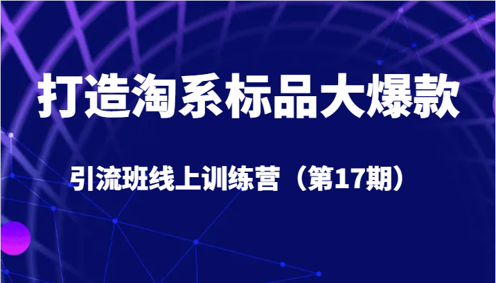 打造淘系标品大爆款引流班线上训练营（第17期）5天直播授课+1个月答疑-KJ分享