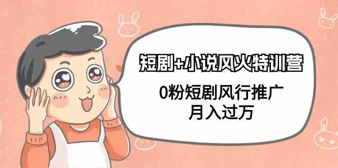 短剧+小说风火特训营，0粉短剧风行推广，月入过万（102节课）-KJ分享