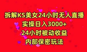 利用快手24小时无人美女直播，实操日入3000，24小时被动收益，内部保密玩法-KJ分享