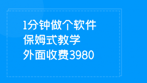 1分钟做个软件  有人靠这个已经赚100W 保姆式教学  外面收费3980-KJ分享