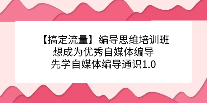 【搞定流量】编导思维培训班,想成为优秀自媒体编导先学自媒体编导通识1.0-KJ分享