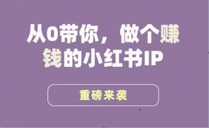 小红书运营大宝典，从0带你做个赚钱的小红书IP-KJ分享