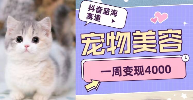 抖音蓝海赛道，宠物美容，一周变现4000-KJ分享